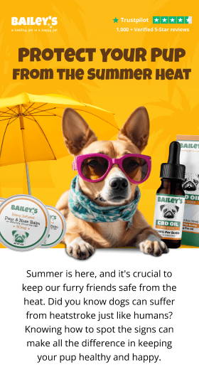 Bailey's oil email creative