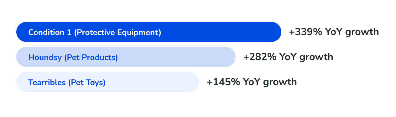 Top year-over-year BFCM performers — email and SMS revenue growth by brand