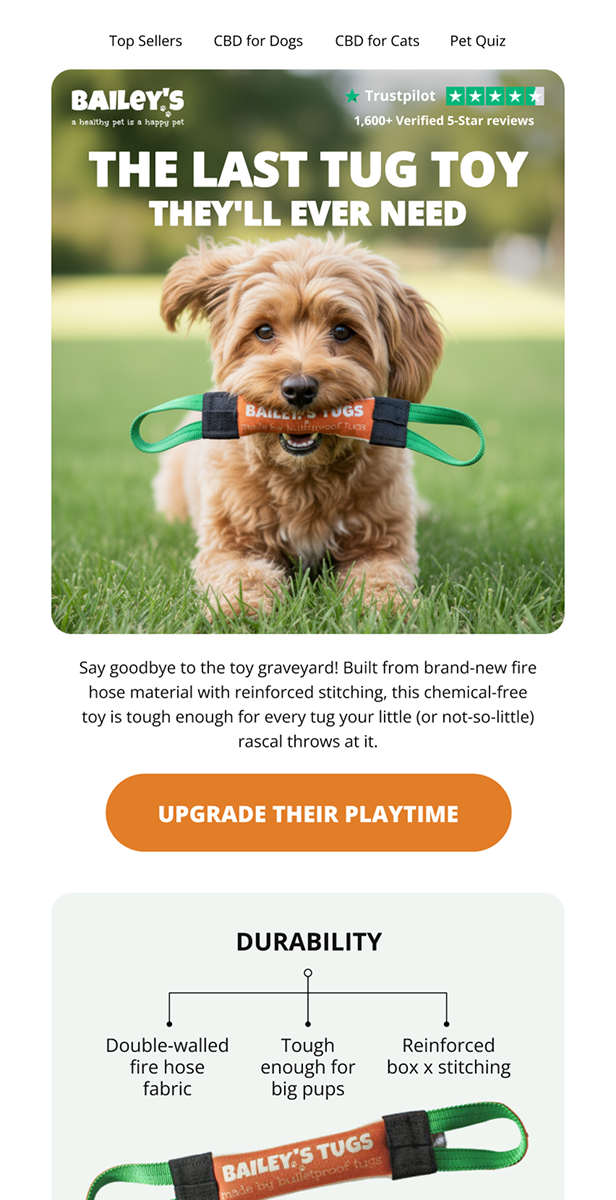 Email design 14