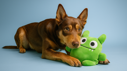 A dog with a Tearribles toy
